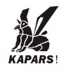 Кузовные запчасти KAPARS (Тайвань)