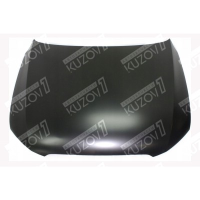 Капот TYG для AUDI Q5 2008-2012 - фото