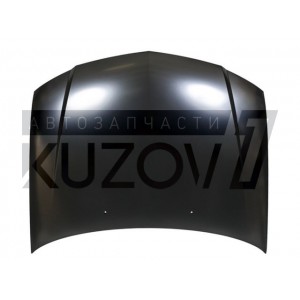 КАПОТ - фото